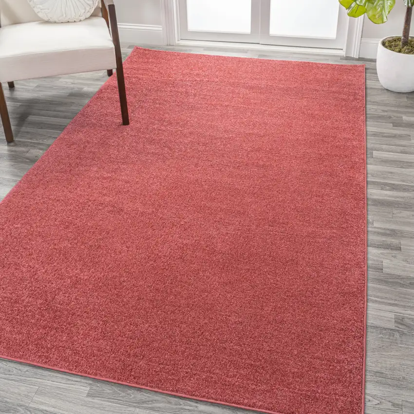 Red Area Rug Photo 4