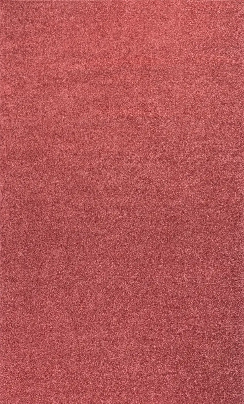 Red Area Rug Photo 1
