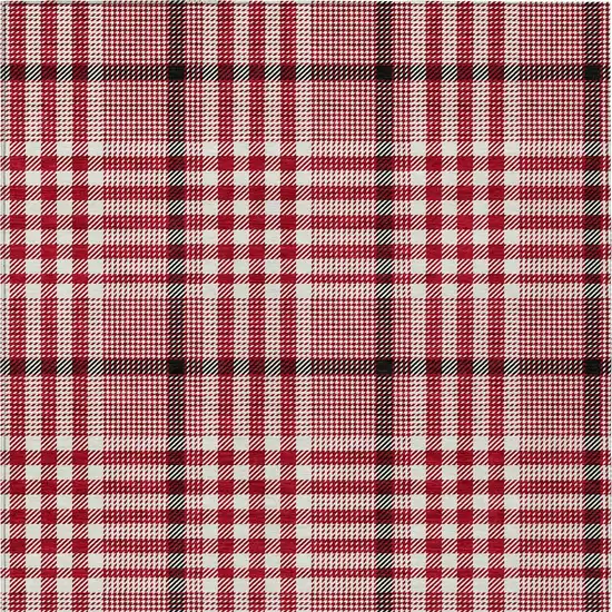 Red Black And Ivory Plaid Washable Indoor Outdoor Area Rug Photo 6