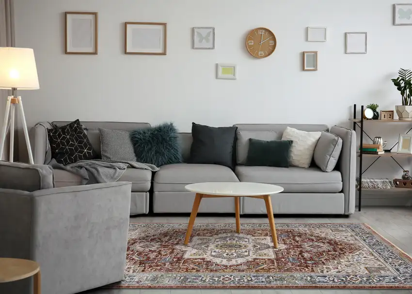 Red Blue And Tan Medallion Area Rug Photo 6