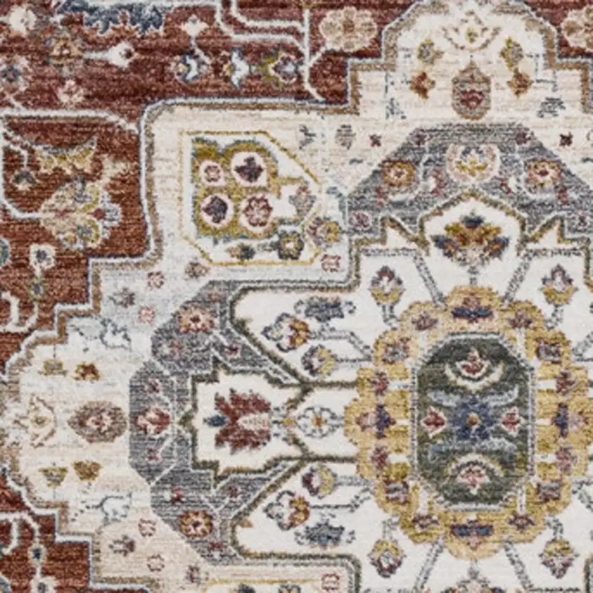 Red Blue And Tan Medallion Area Rug Photo 4