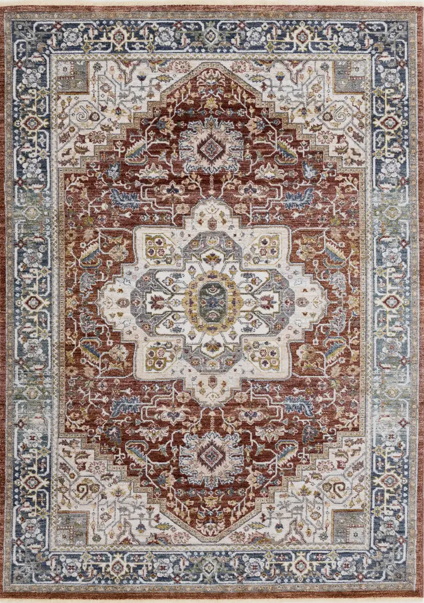 Red Blue And Tan Medallion Area Rug Photo 2