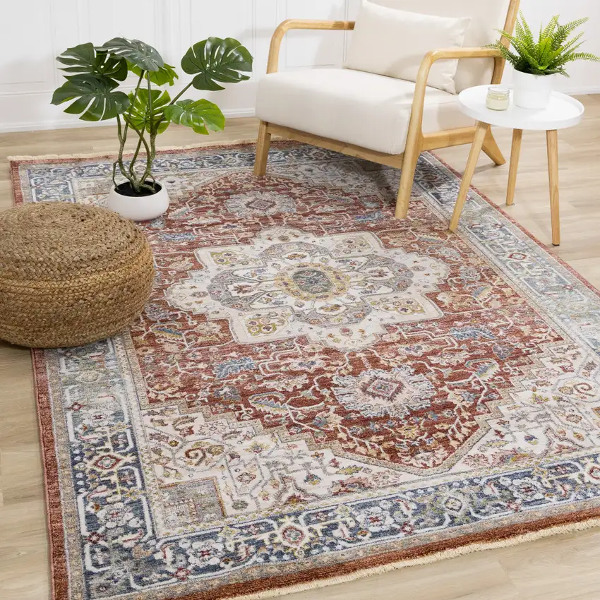 Red Blue And Tan Medallion Area Rug Photo 4