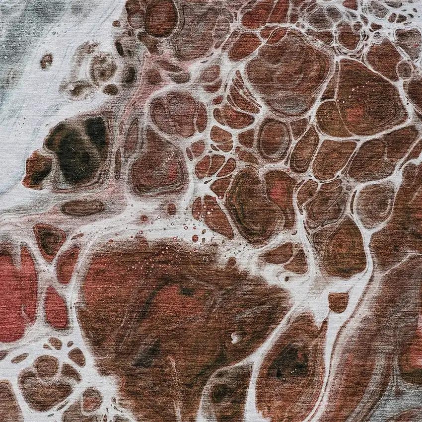 Red Copper And Gray Nautical Washable Indoor Outdoor Area Rug Photo 6