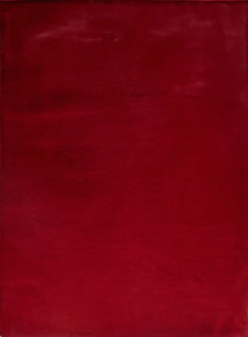 Red Faux Fur Shag Washable Non Skid Area Rug Photo 2