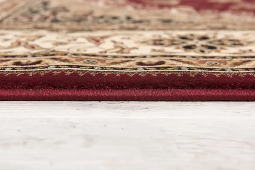 Red Floral Medallion Area Rug Photo 7