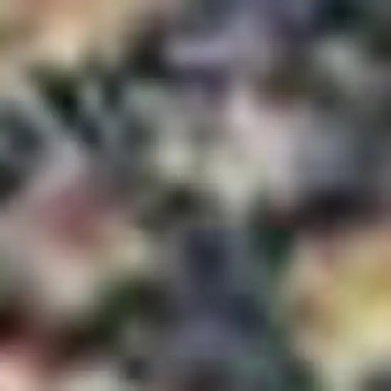 Red Gold And Gray Tribal Washable Area Rug With UV Protection Photo 3