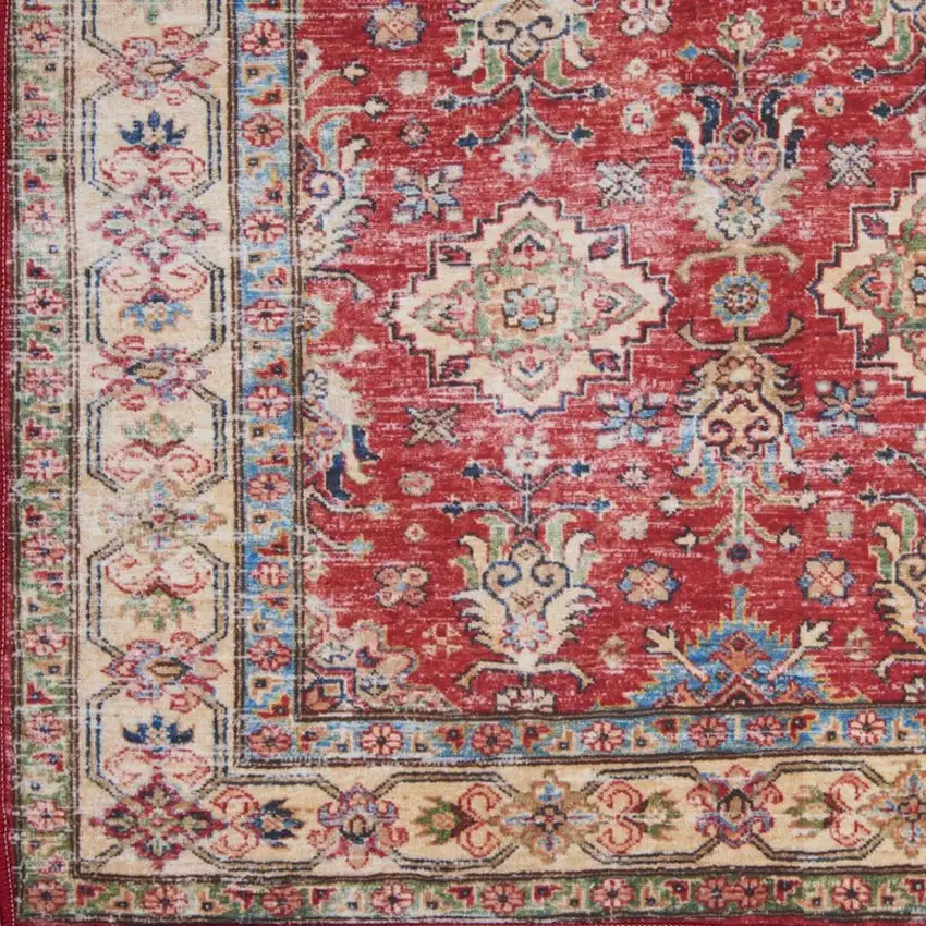 Red Oriental Distressed Area Rug Photo 3