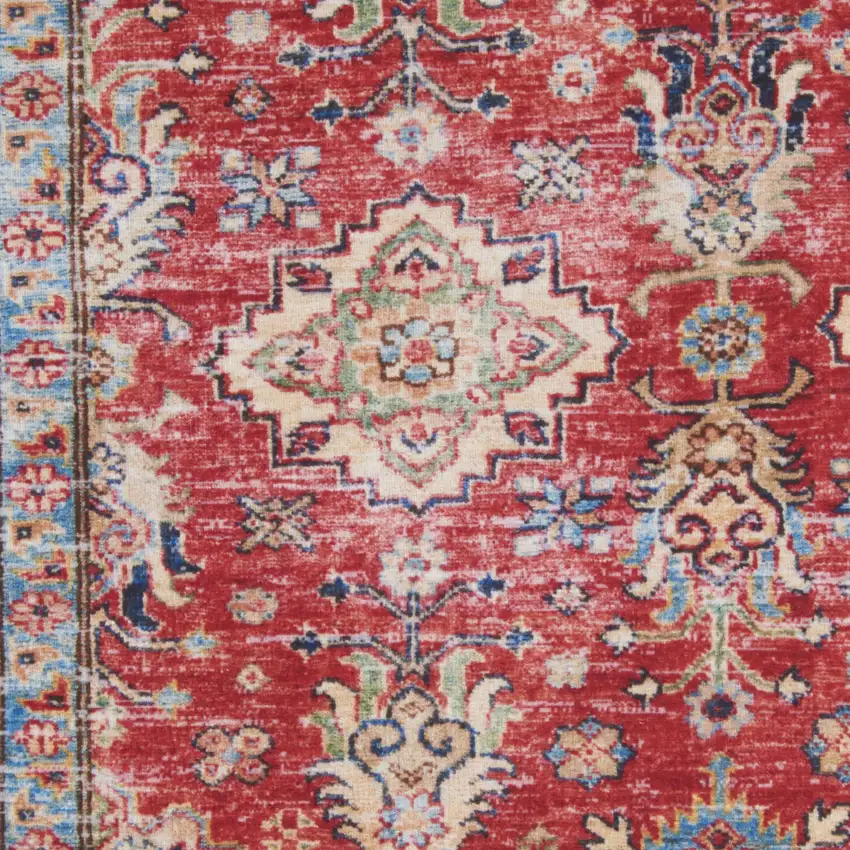 Red Oriental Distressed Area Rug Photo 9