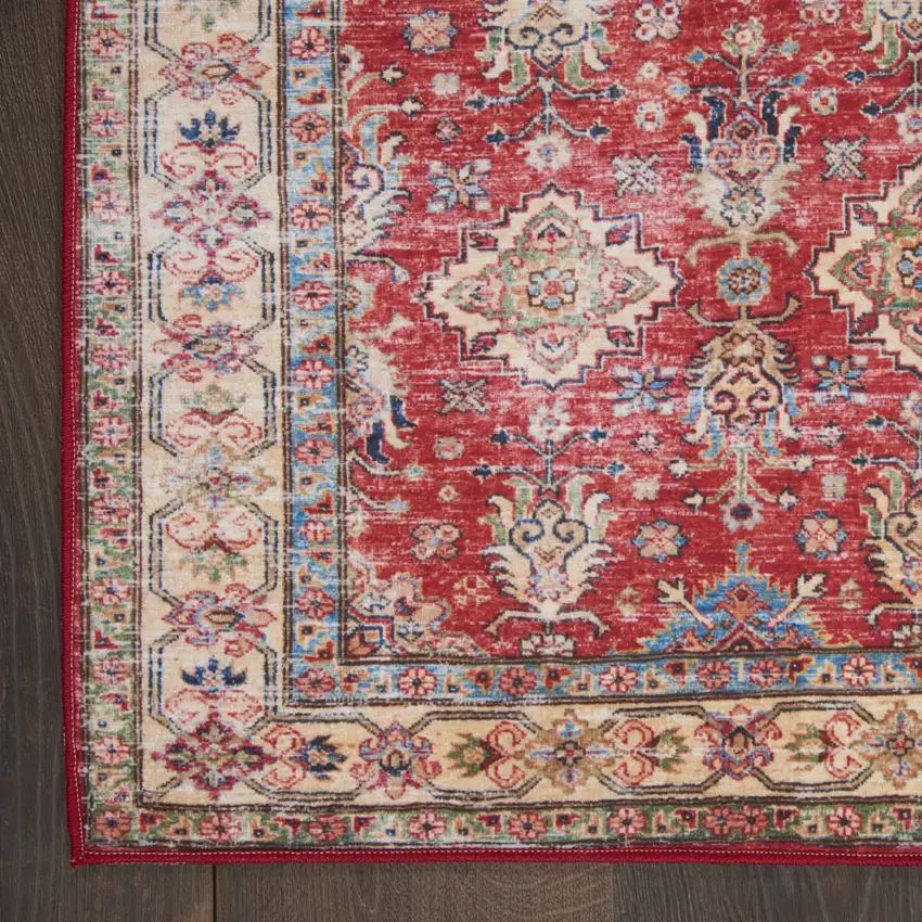 Red Oriental Distressed Area Rug Photo 9