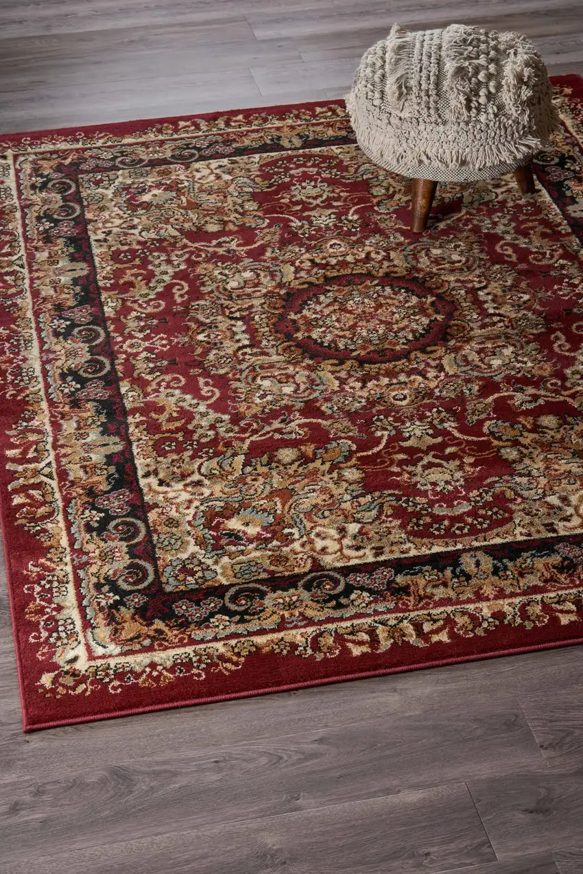 Red Royal Medallion Area Rug Photo 8