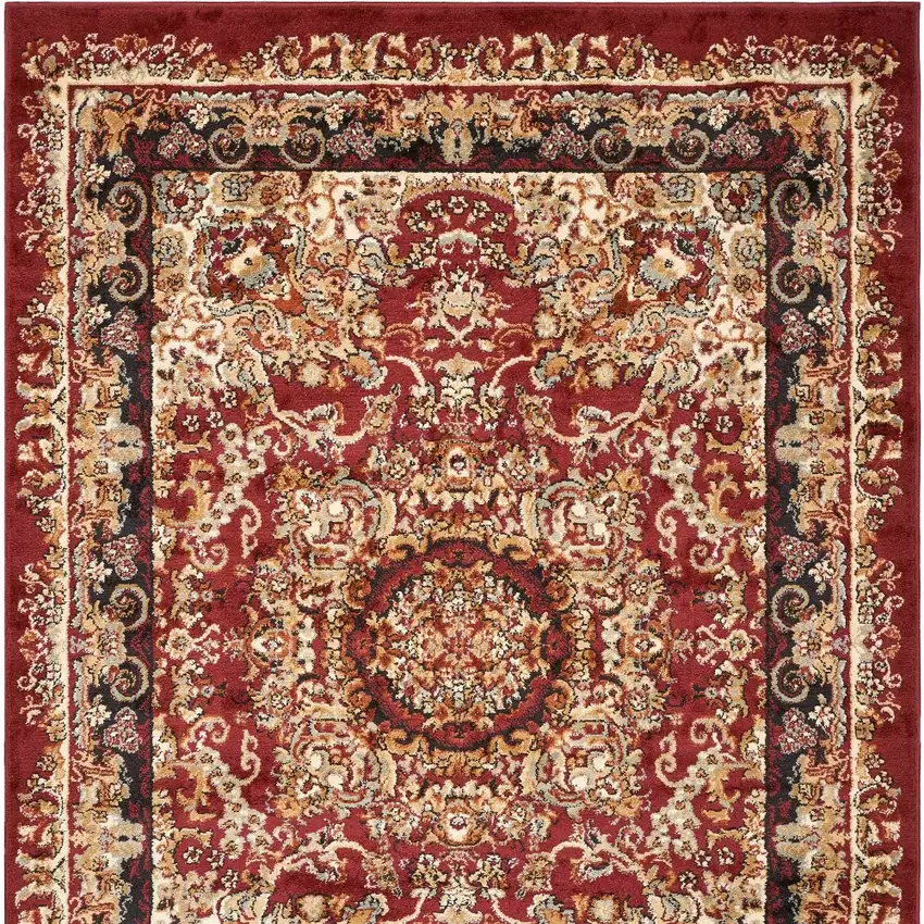Red and Black Floral Medallion Area Rug Photo 6