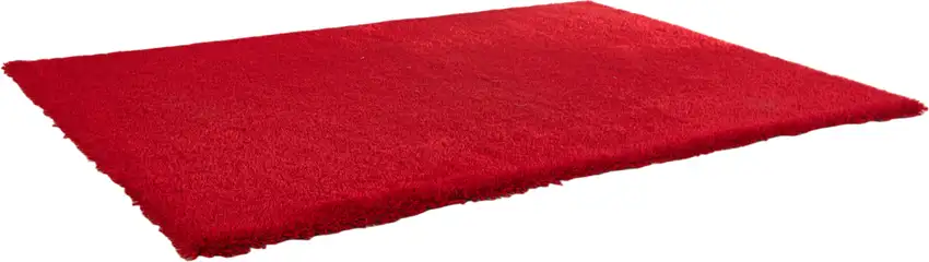 Red Shag Hand Tufted Area Rug Photo 2