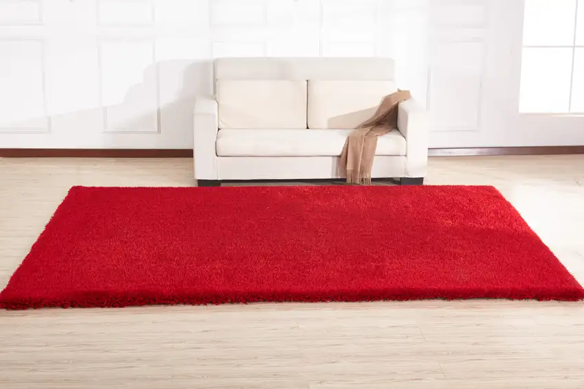 Red Shag Hand Tufted Area Rug Photo 5