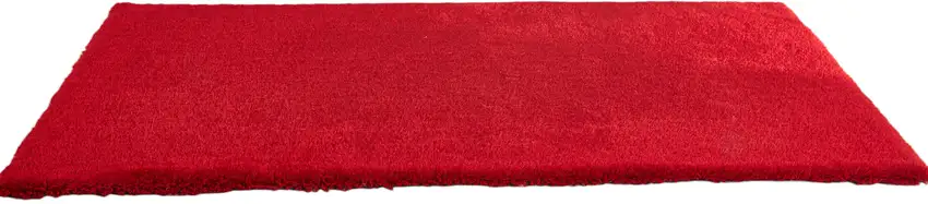 Red Shag Hand Tufted Area Rug Photo 2
