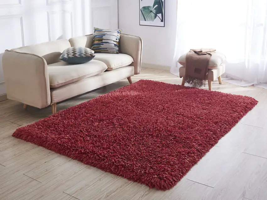 Red Shag Hand Tufted Area Rug Photo 4
