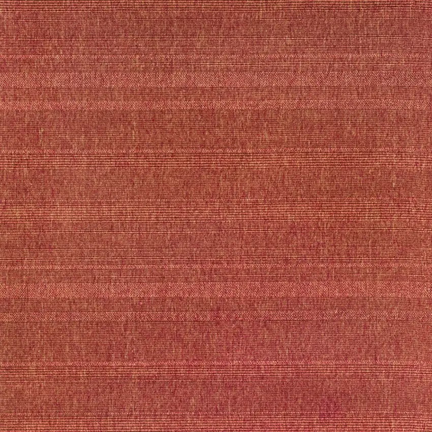 Red Stain Resistant Indoor Outdoor Area Rug Photo 3