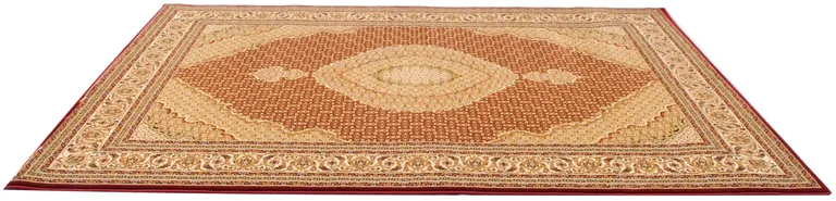 Red and Beige Medallion Runner Rug Photo 4