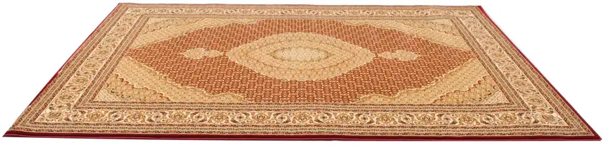 Red and Beige Medallion Runner Rug Photo 6