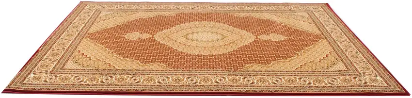 Red and Beige Medallion Runner Rug Photo 6