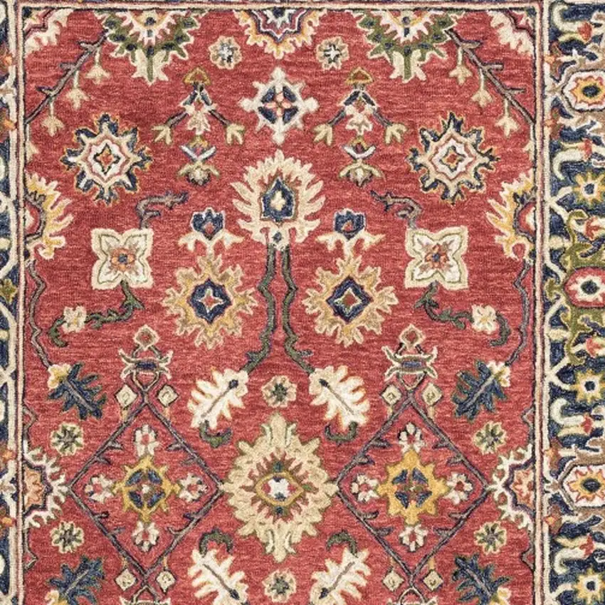 Red And Blue Bohemian Area Rug Photo 4