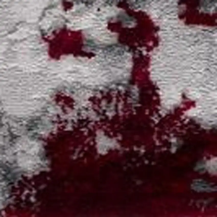 Red Abstract Dhurrie Area Rug Photo 7