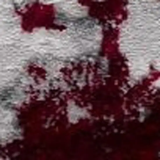 Red Abstract Dhurrie Area Rug Photo 6