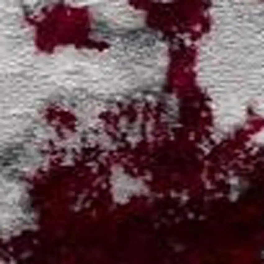 Red Abstract Dhurrie Area Rug Photo 6