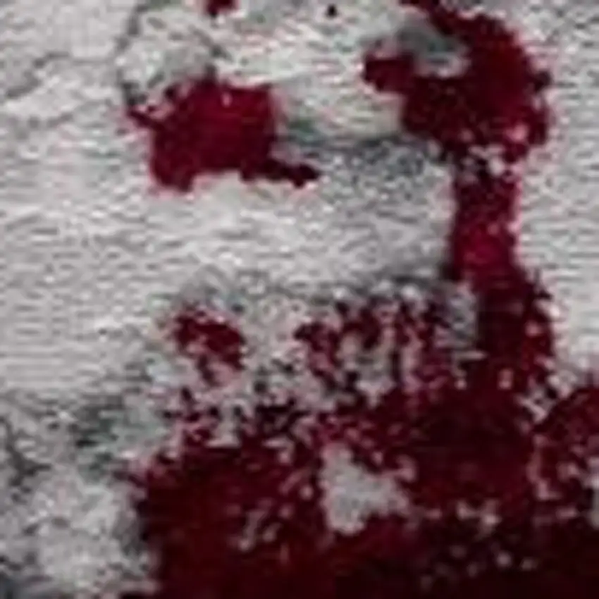 Red Abstract Dhurrie Area Rug Photo 6