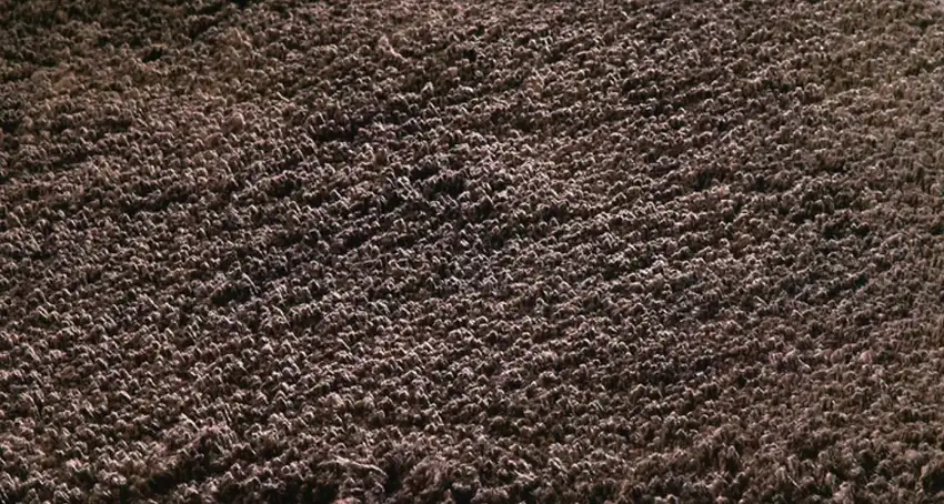 Round  Polyester Espresso Area Rug Photo 3