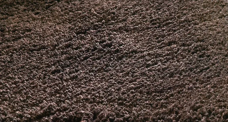 Round  Polyester Espresso Area Rug Photo 3
