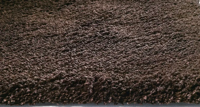 Round  Polyester Espresso Area Rug Photo 2