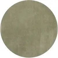 Photo of Round Polyester Sage Area Rug