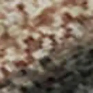 Photo of Rust And Charcoal Animal Print Washable Area Rug With UV Protection