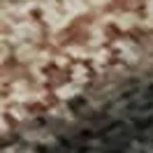 Photo of Rust And Charcoal Animal Print Washable Area Rug With UV Protection