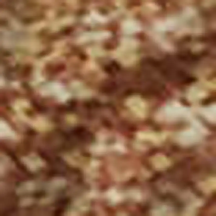 Rust And Copper Abstract Washable Area Rug With UV Protection Photo 2