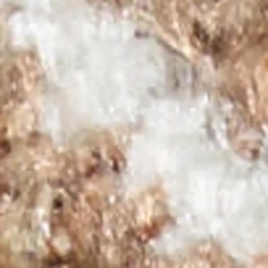 Rust And Ivory Floral Distressed Area Rug Photo 3