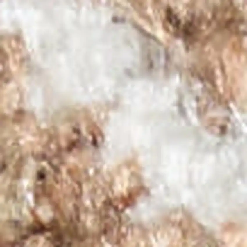 Rust And Ivory Floral Distressed Area Rug Photo 3