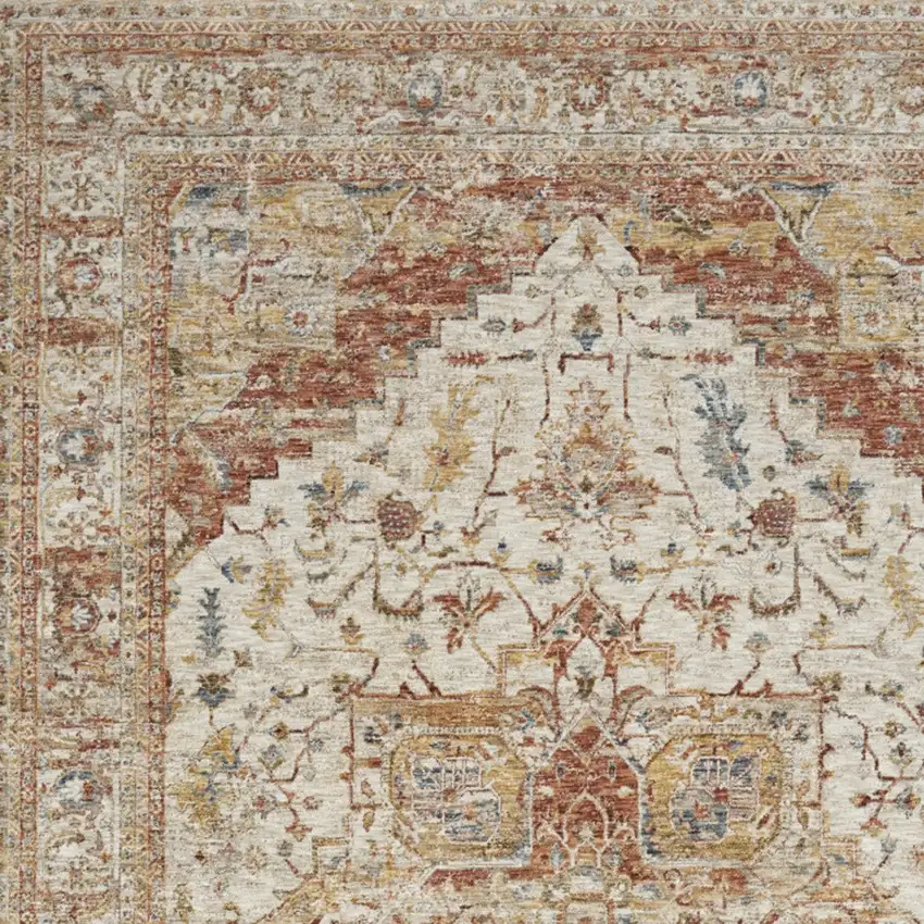Rust And Ivory Oriental Distressed Area Rug Photo 5