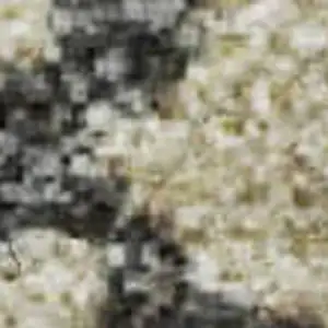 Photo of Rust Beige And Blue Abstract Washable Area Rug With UV Protection