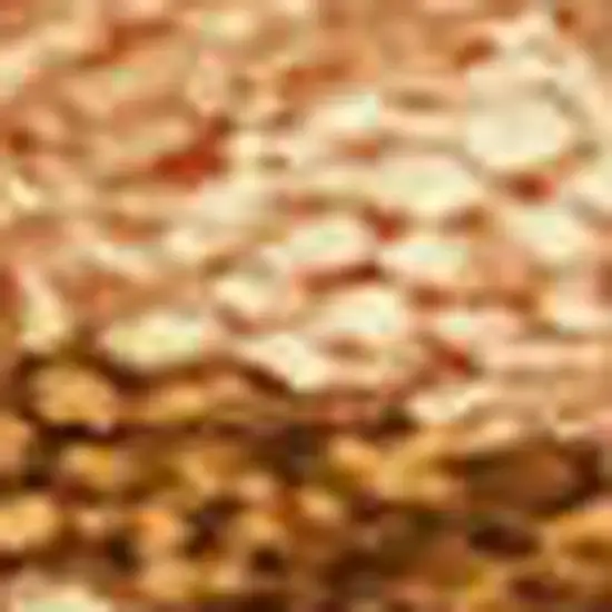 Rust Beige And Orange Seashell Washable Indoor Outdoor Area Rug Photo 2