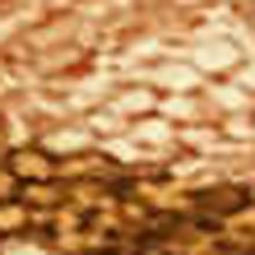 Rust Beige And Orange Seashell Washable Indoor Outdoor Area Rug Photo 2