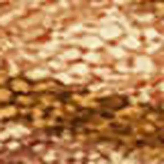 Rust Beige And Orange Seashell Washable Indoor Outdoor Area Rug Photo 3