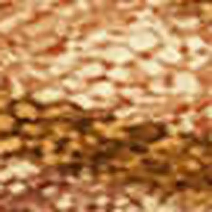 Rust Beige And Orange Seashell Washable Indoor Outdoor Area Rug Photo 3