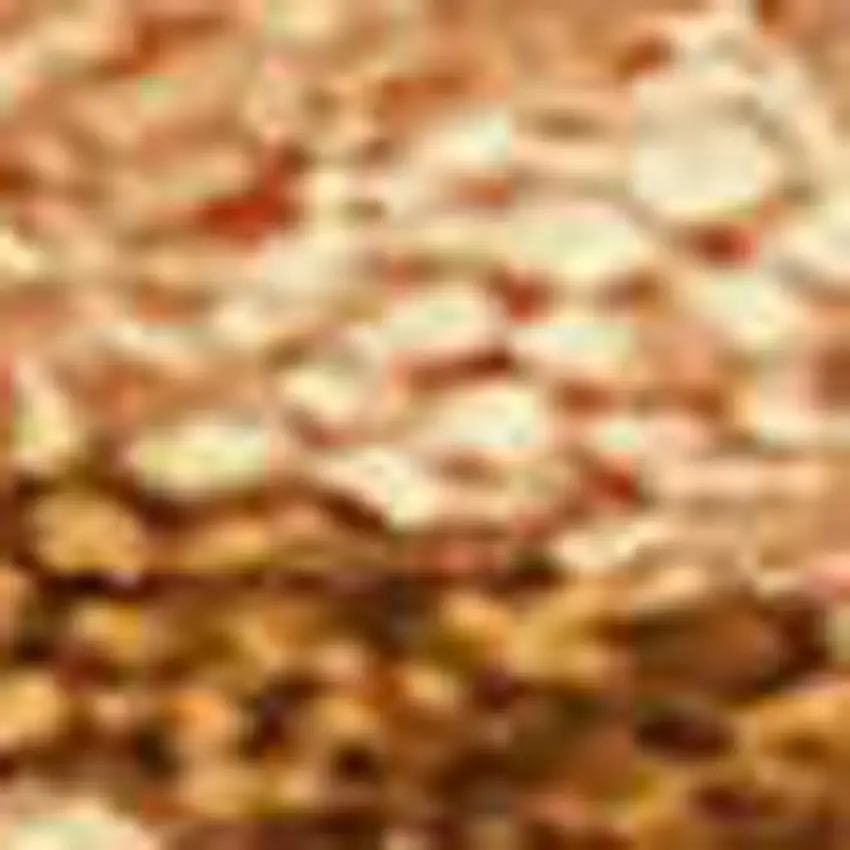 Rust Beige And Orange Seashell Washable Indoor Outdoor Area Rug Photo 2