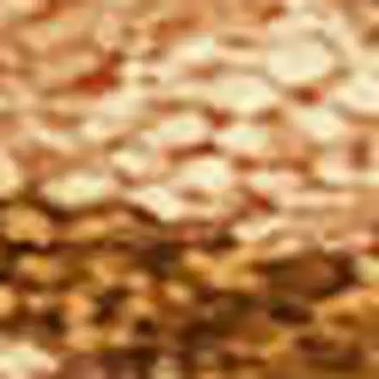 Rust Beige And Orange Seashell Washable Indoor Outdoor Area Rug Photo 2