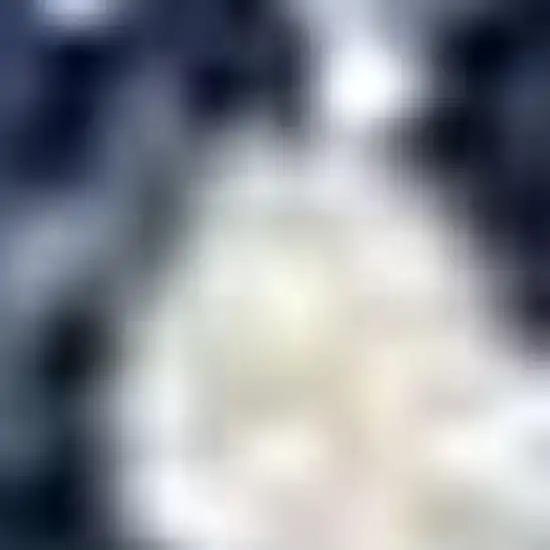 10' Blue And Ivory Floral Runner Rug Photo 3