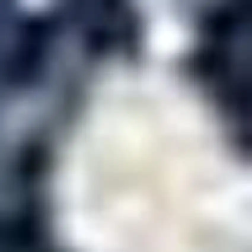 10' Blue And Ivory Floral Runner Rug Photo 3