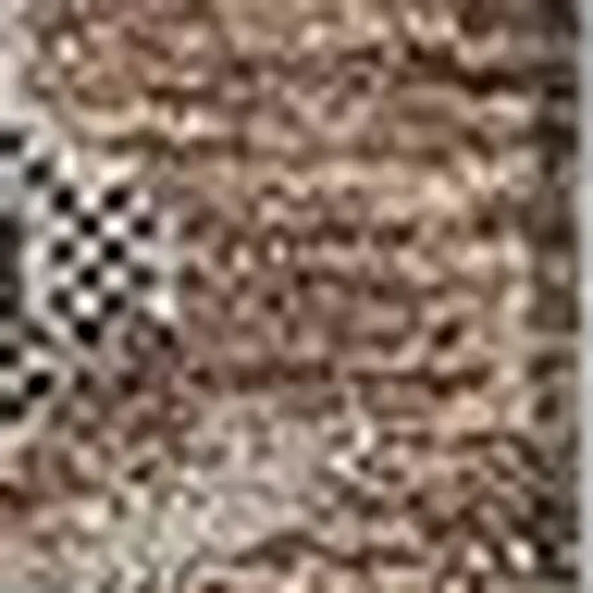 Rust Gray And Charcoal Oriental Washable Area Rug With UV Protection Photo 5