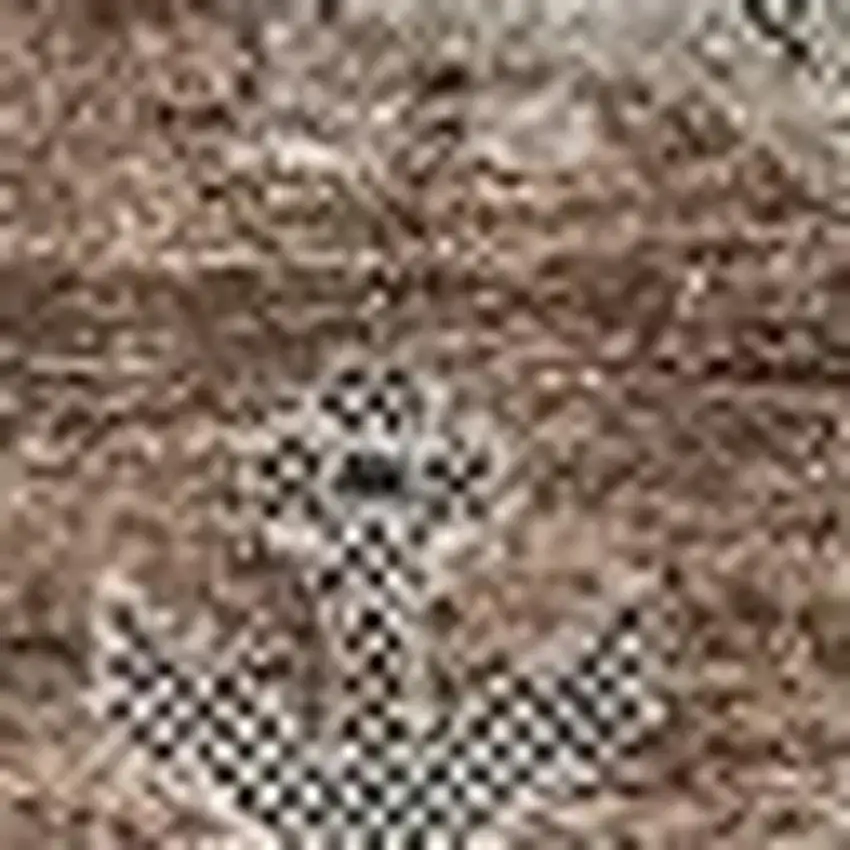 Rust Gray And Charcoal Oriental Washable Area Rug With UV Protection Photo 5